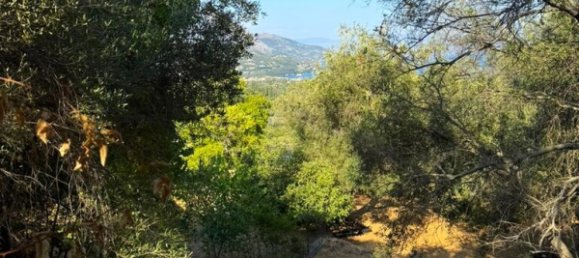 1 chambre villa à vendre à Corfu, Central Corfu and Diapontian Islands, Corfu, Ionian Islands, Peloponnese, Western Greece and the Ionian, Greece № 57127 2