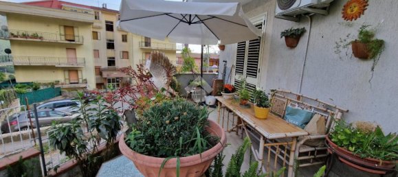 5-Zimmer Haus in Castiglione del Genovesi, Italy, Nr. 174471 21