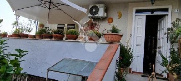 5-Zimmer Haus in Castiglione del Genovesi, Italy, Nr. 174471 28