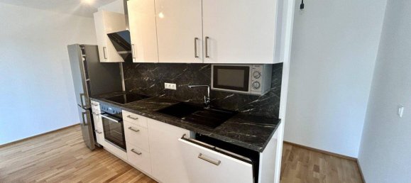 3 rooms Apartment in Neusiedl am See, Austria No. 49870 10