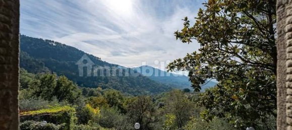 Дом с 3 спальнями в Кортона, Италия № 85895 8