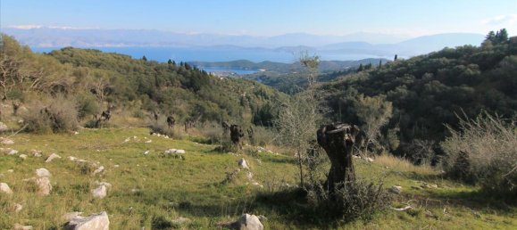 6000m² Hotel in Corfu, Greece No. 5195 5