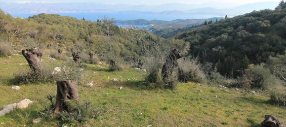 6000m² Hotel in Corfu, Greece No. 5195 8