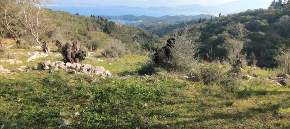 6000m² Hotel in Corfu, Greece No. 5195 4