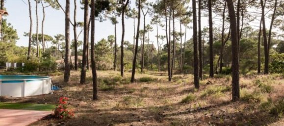 3 Schlafzimmer Villa in Almada, Portugal, Nr. 198776 11