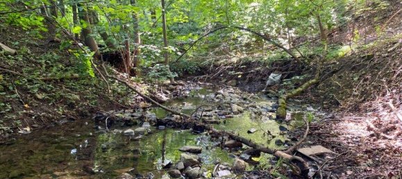 6 rooms House in Pressbaum, Austria No. 202446 6