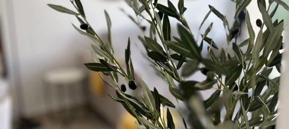 2 bedrooms Bungalow in San Fulgencio, Spain No. 178175 14