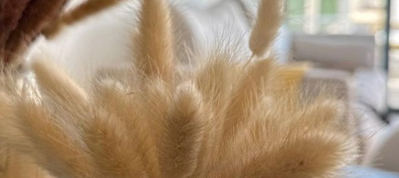 2 bedrooms Bungalow in San Fulgencio, Spain No. 178175 4