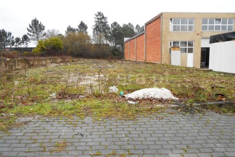  Land in Barcelos, Portugal No. 202275