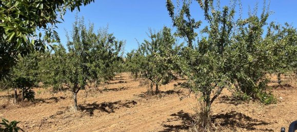 Terreno en Piana degli Albanesi, Italy No. 381593 4