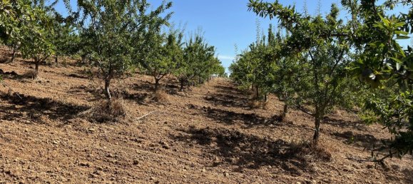 Terreno en Piana degli Albanesi, Italy No. 381593 10