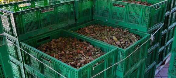 Terreno en Piana degli Albanesi, Italy No. 381593 7