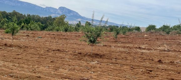 Terreno en Piana degli Albanesi, Italy No. 381593 14