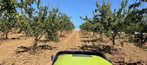 Terreno en Piana degli Albanesi, Italy No. 381593 8