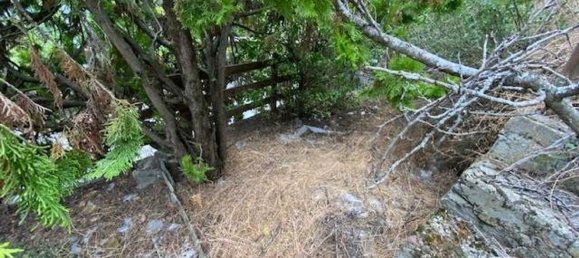 5-Zimmer Haus in Quart, Italy, Nr. 300116 31