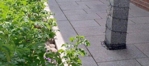 Casa de 4 dormitorios en Luneburg, Germany No. 349303 27