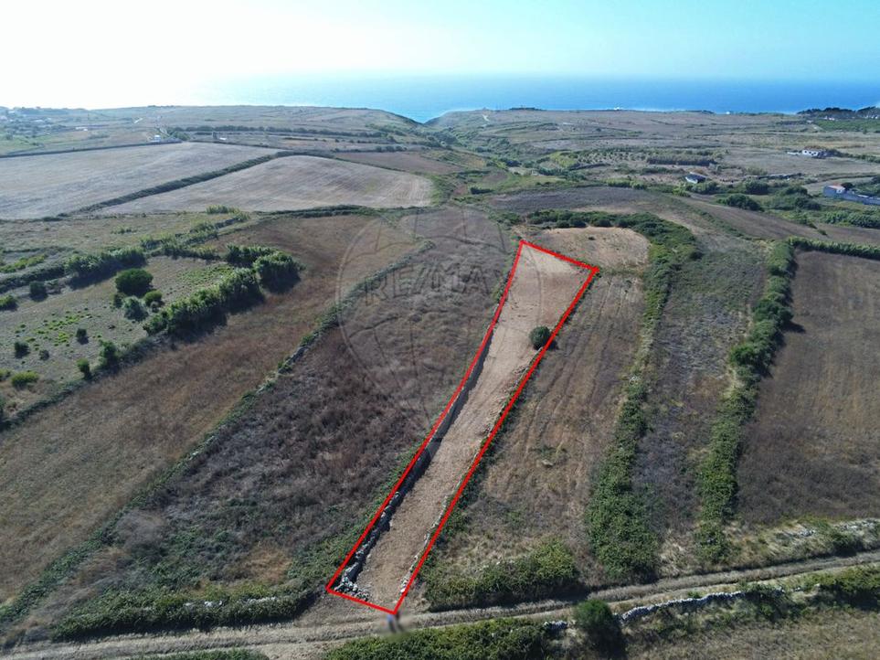 Земельный участок в Синтра, Португалия № 242342