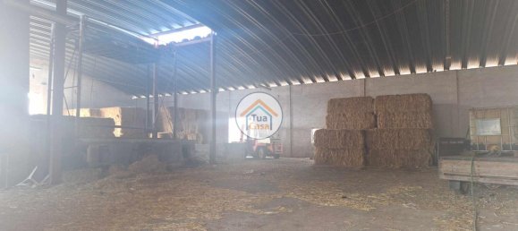 20305m² Land in Ourique, Portugal No. 53844 8