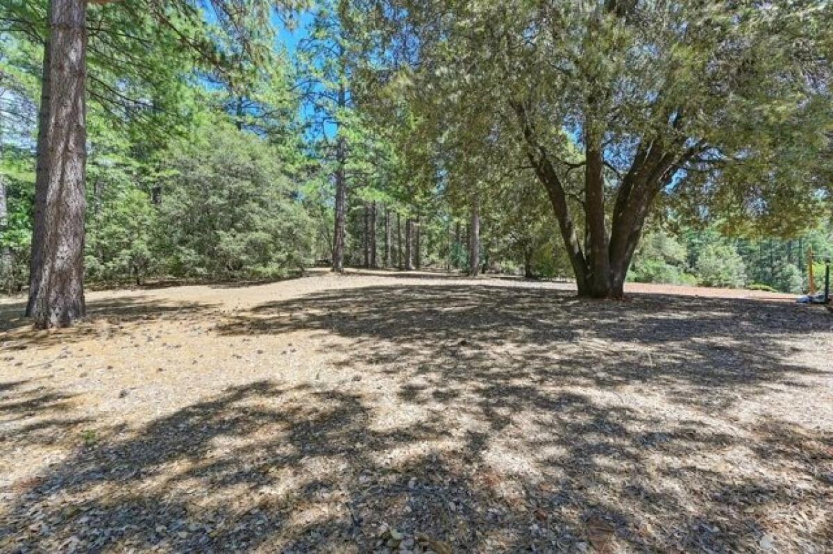 Grundstück in Garden Valley, USA, Nr. 475297