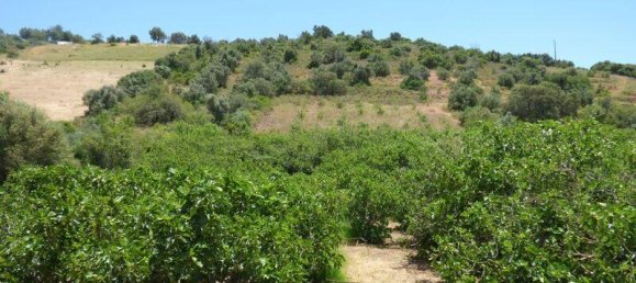 2 bedrooms House in Silves, Portugal No. 219137 20