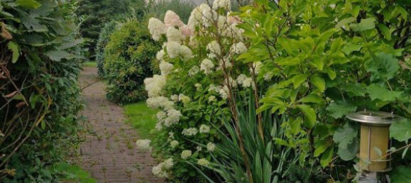 7 rooms House in Kassel, Germany No. 365086 18