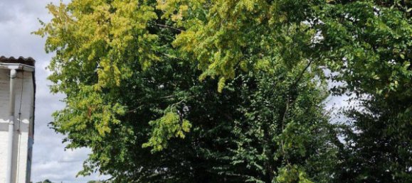 7 rooms House in Kassel, Germany No. 365086 29