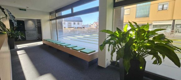 245m² Office in Wels, Austria No. 226550 5