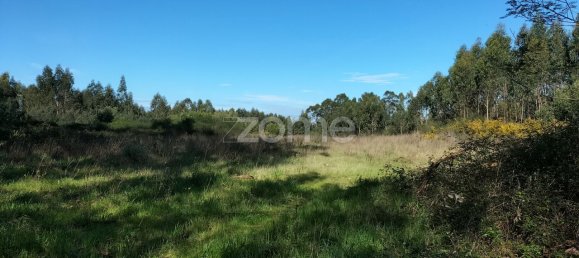 قطعة أرض في Guilhabreu, Portugal 12900متر مربع رقم 62607 6