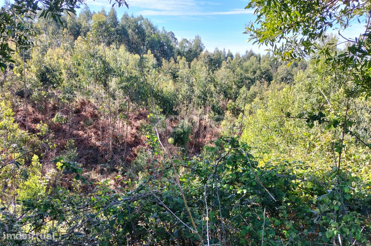  قطعة أرض في Guilhabreu, Portugal 12900متر مربع رقم 62607