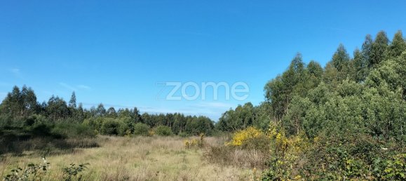 قطعة أرض في Guilhabreu, Portugal 12900متر مربع رقم 62607 5