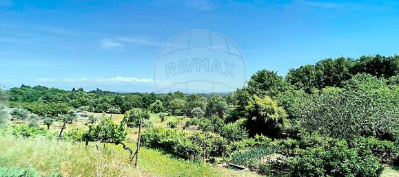 4 bedrooms House in Oliveira do Conde, Portugal No. 184442 33