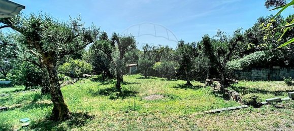 4 bedrooms House in Oliveira do Conde, Portugal No. 184442 31