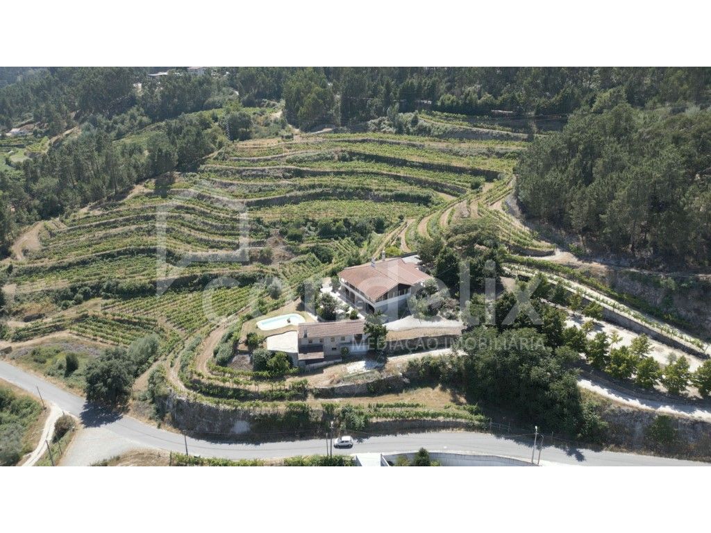 6 bedrooms Castles in Amarante, Portugal No. 221464