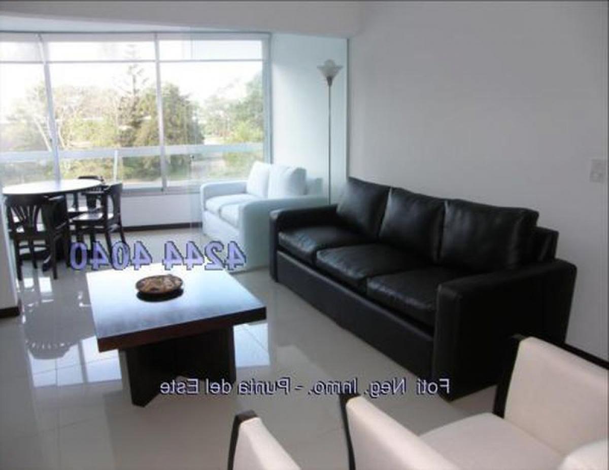 3 bedrooms Apartment in Punta del Este, Uruguay No. 6546