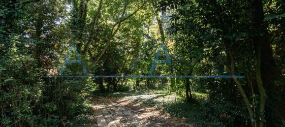 29 غرف نوم فيلا في Albignasego, Italy رقم 362601 16