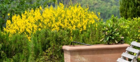 9 bedrooms House in Montalcino, Italy No. 55839 18