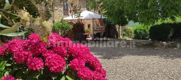 16 bedrooms House in Murlo, Italy No. 211976 14