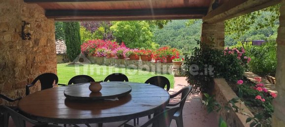 16 bedrooms House in Murlo, Italy No. 211976 11