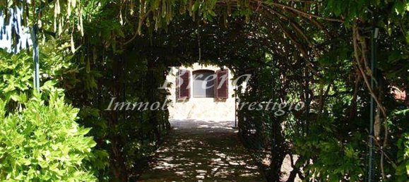 16 bedrooms House in Murlo, Italy No. 211976 7