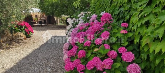 16 bedrooms House in Murlo, Italy No. 211976 9