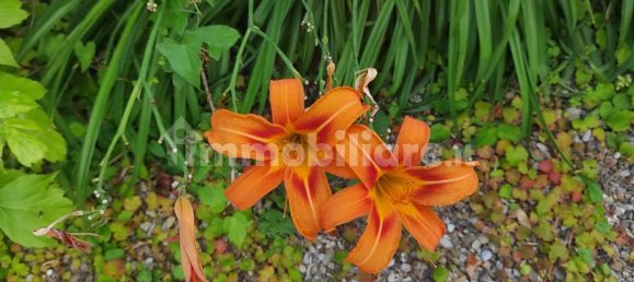 16 bedrooms House in Murlo, Italy No. 211976 10