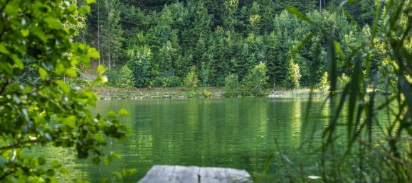 5 rooms Apartment in Finkenstein am Faaker See, Austria No. 247432 19