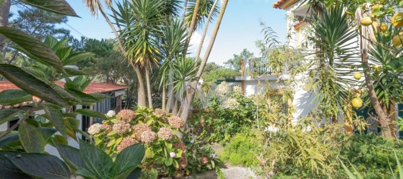 5 Schlafzimmer Villa in Obidos, Portugal, Nr. 123974 25