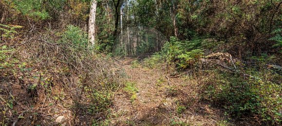 1 bedroom House in Felgueiras, Portugal No. 20886 27