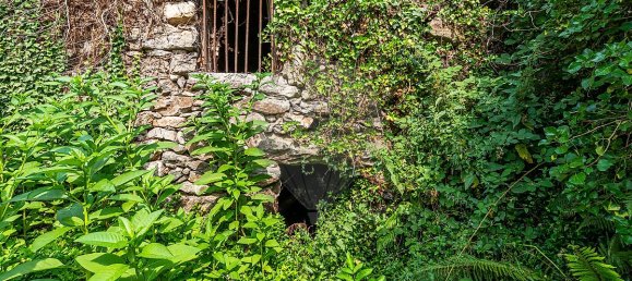 1 bedroom House in Felgueiras, Portugal No. 20886 17