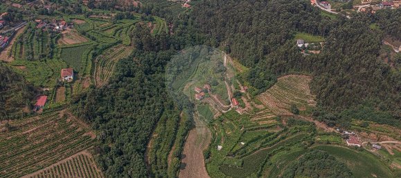 1 bedroom House in Felgueiras, Portugal No. 20886 6