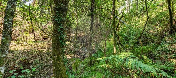 1 bedroom House in Felgueiras, Portugal No. 20886 25