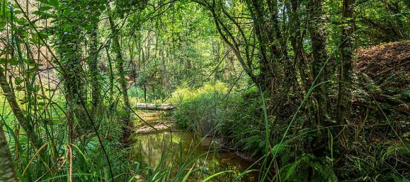 1 bedroom House in Felgueiras, Portugal No. 20886 23