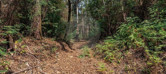 1 bedroom House in Felgueiras, Portugal No. 20886 28