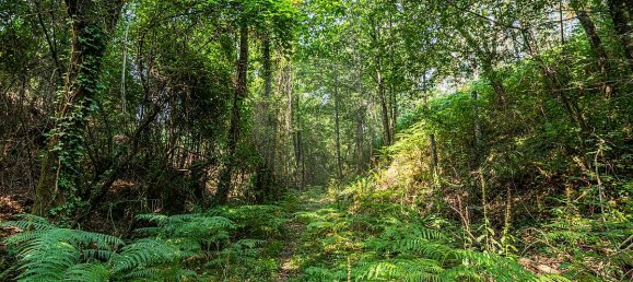 1 bedroom House in Felgueiras, Portugal No. 20886 26